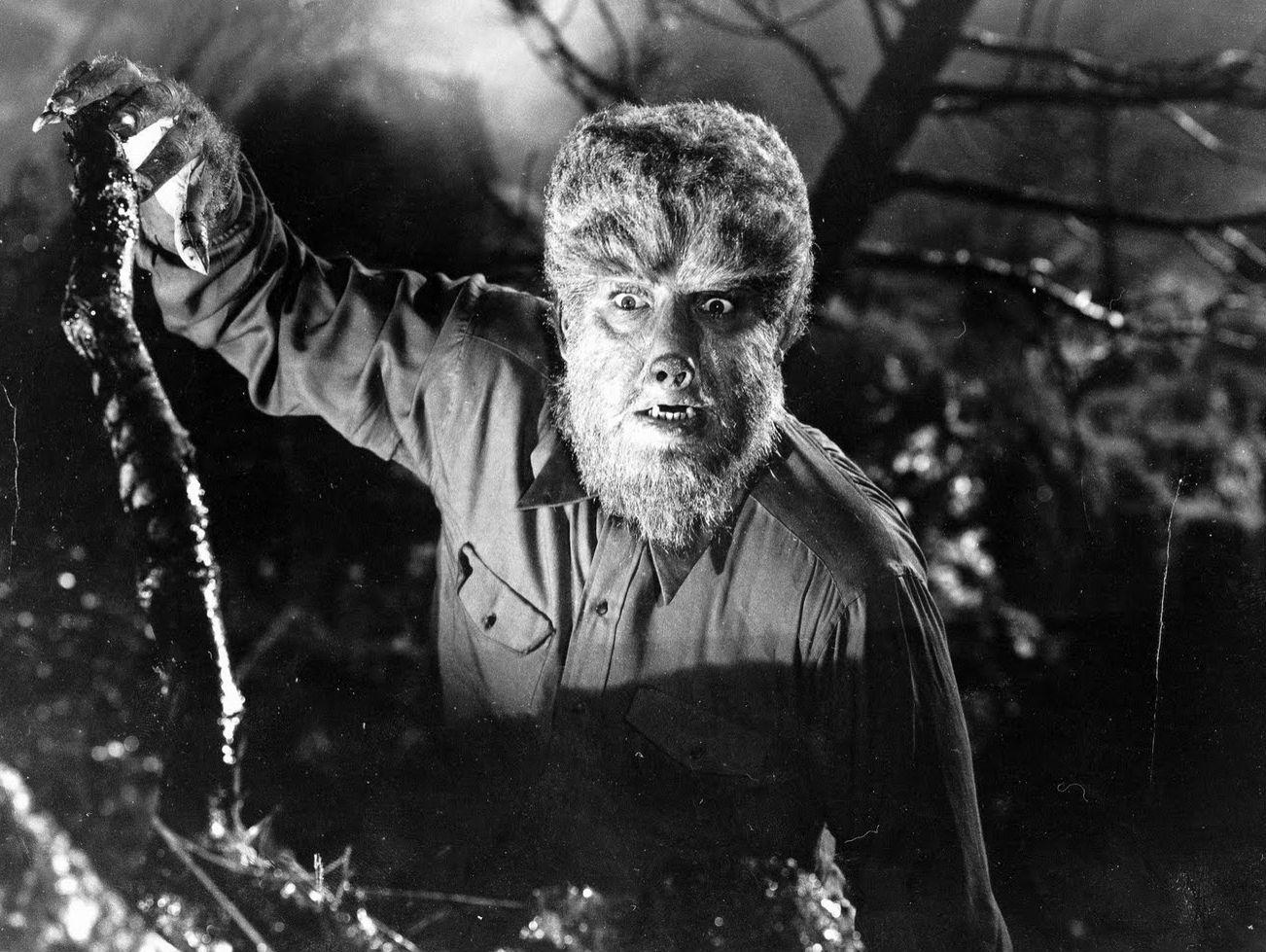 1302x979 The Wolfman wallpaper, Movie, HQ The Wolfman pictureK Wallpaper 2019