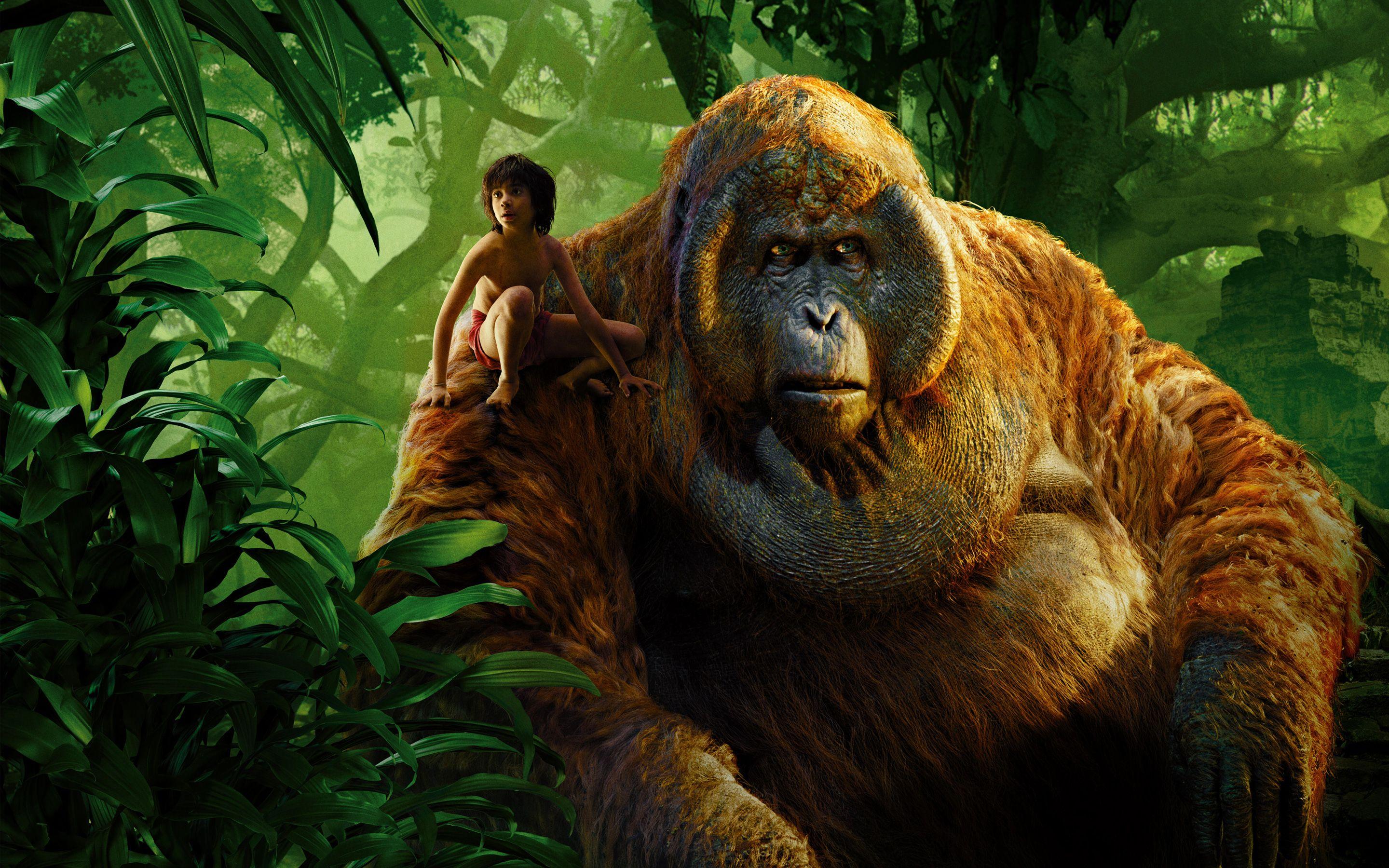 2880x1800 Mowgli 4K wallpaper for your desktop or mobile screen free and easy to download