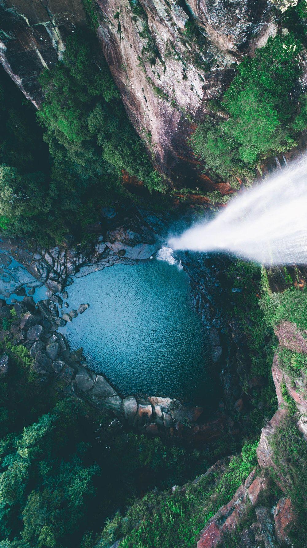 1000x1780 Free download 100 Stunning Rainforest Picture [HD] Download