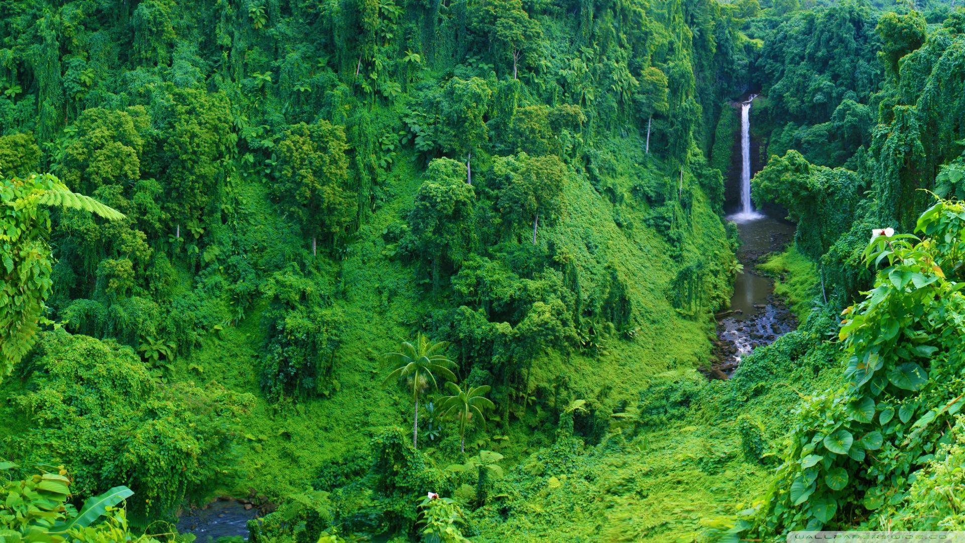 1920x1080 Jungle Waterfall Ultra HD Desktop Background Wallpaper for : Multi