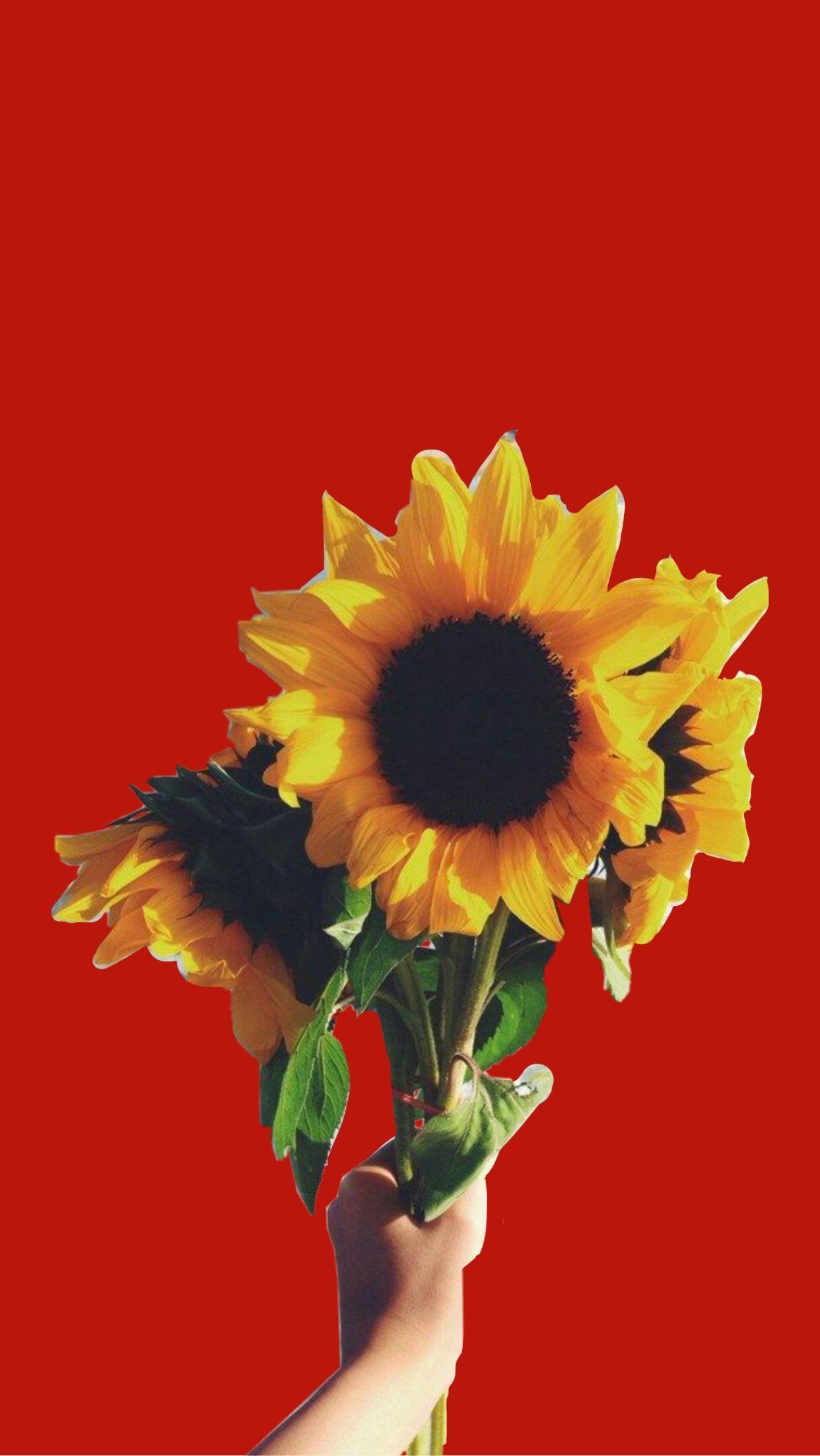 Msr Counseling Services Llc  Lock Screen Sunflower Wallpaper Iphone  PngPlant Icon Tumblr  free transparent png images  pngaaacom