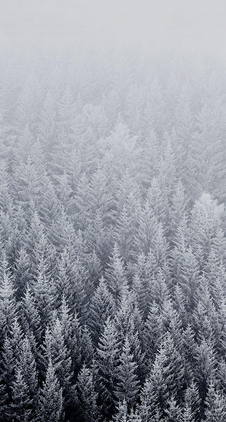 736x1377 Download iOS 8 / iPhone 6 Stock Wallpaper Full HD