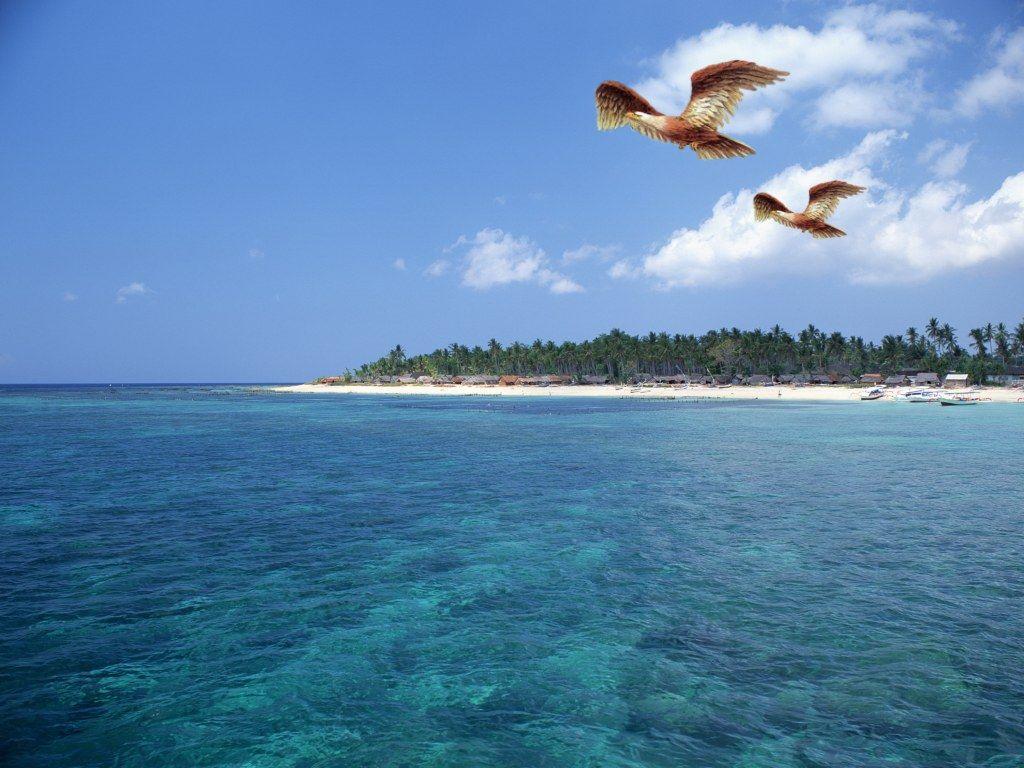 1024x768 Free download ocean wallpaper for desktop which is under the ocean