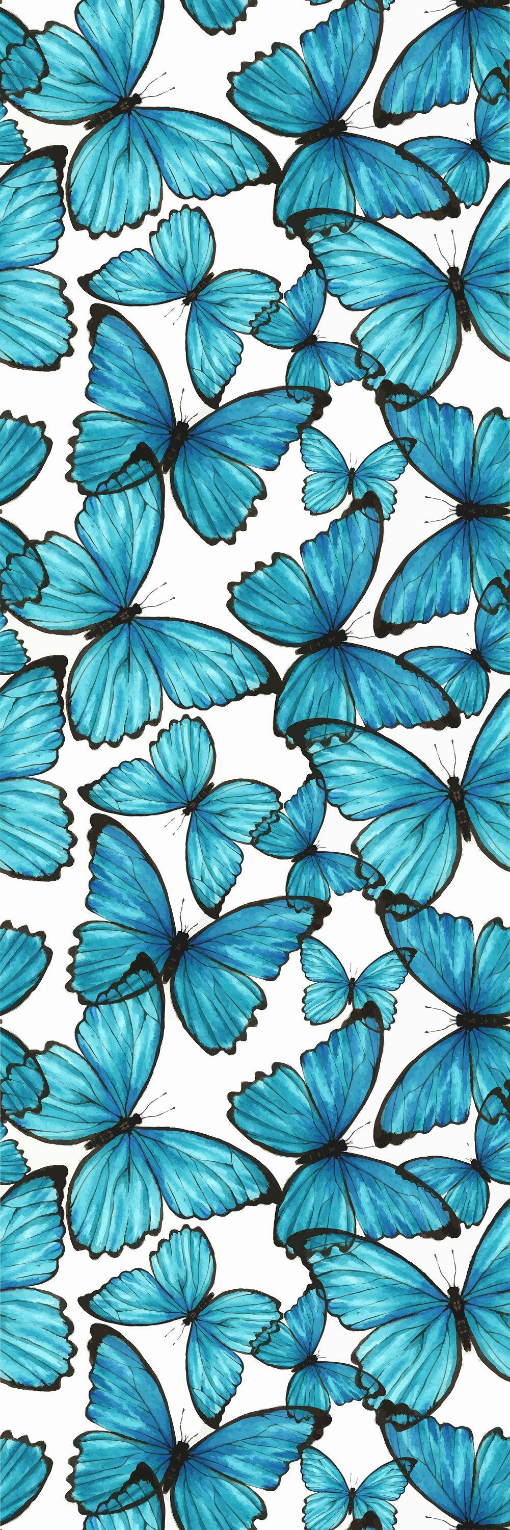 Teal Butterfly Wallpapers Top Free Teal Butterfly Backgrounds Wallpaperaccess