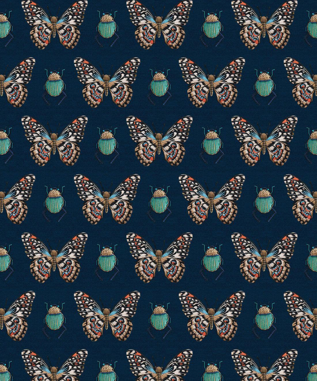 Turquoise Butterfly Wallpapers - Top Free Turquoise Butterfly ...