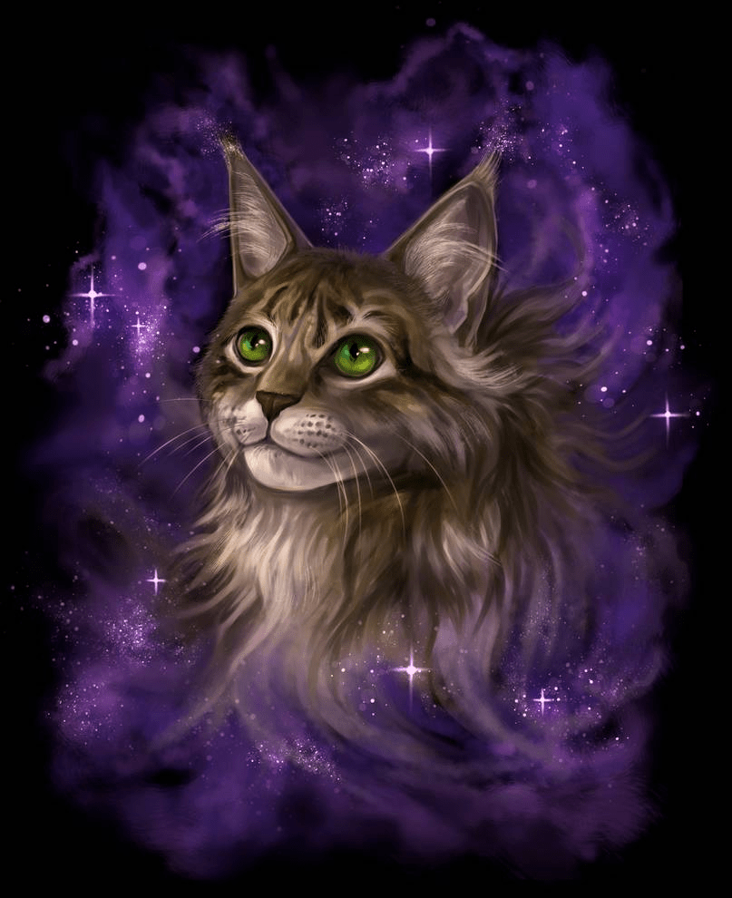 807x990 Cosmic Cat By Light Askha. Cat Art, Cats