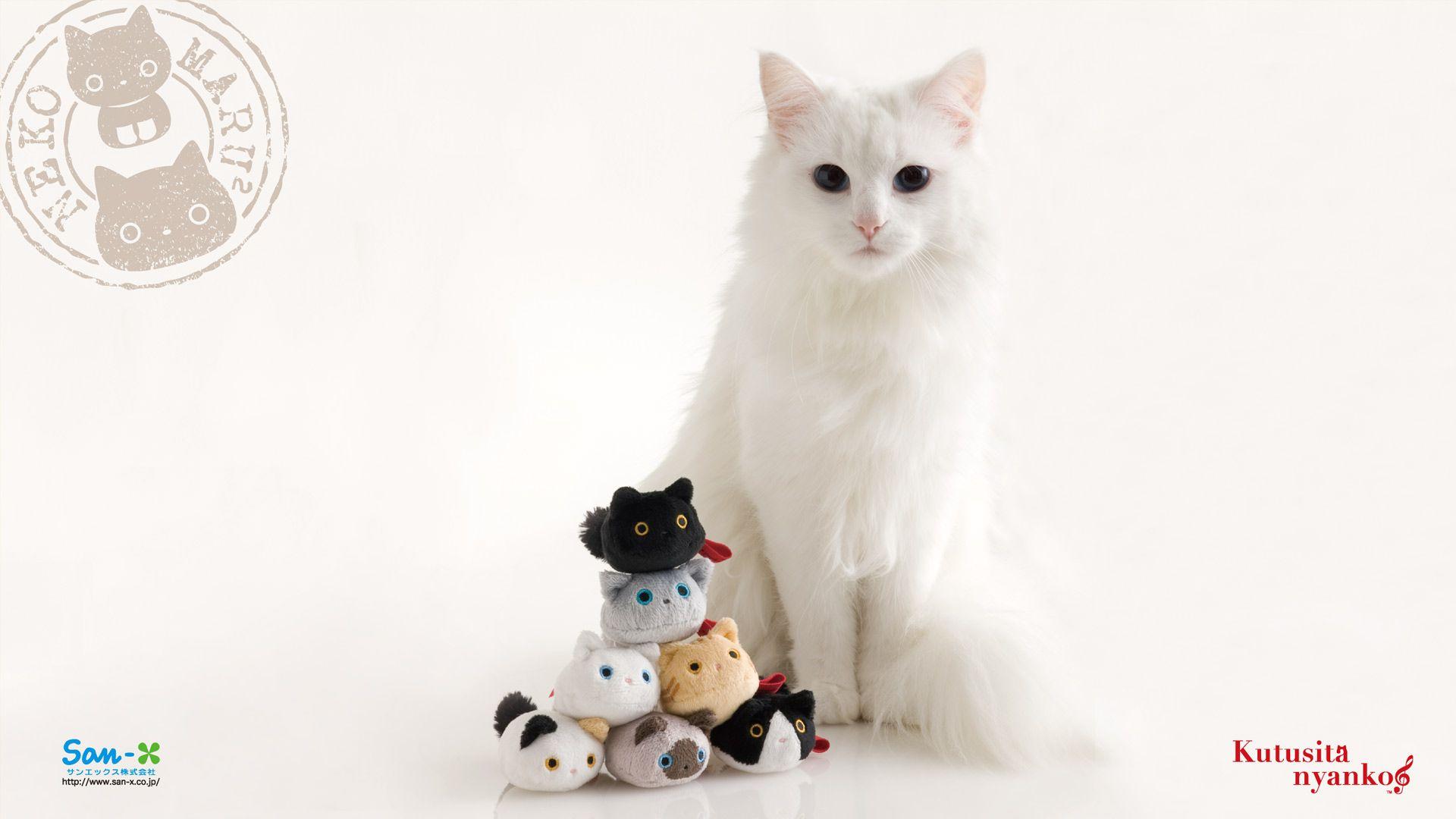 1920x1080 Cute White Cat Wallpaper Nyanko Toys