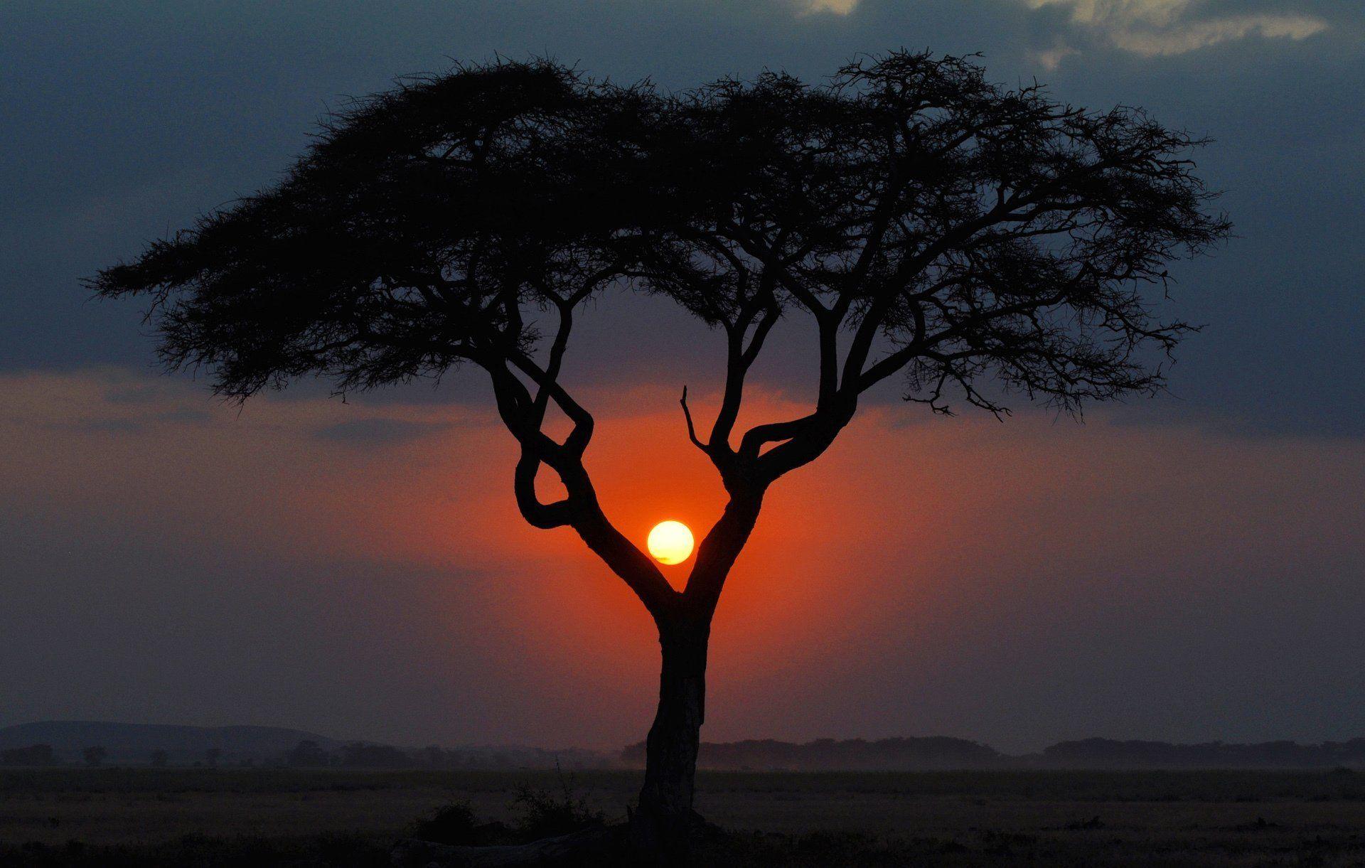 1920x1221 Kenya Wallpaper