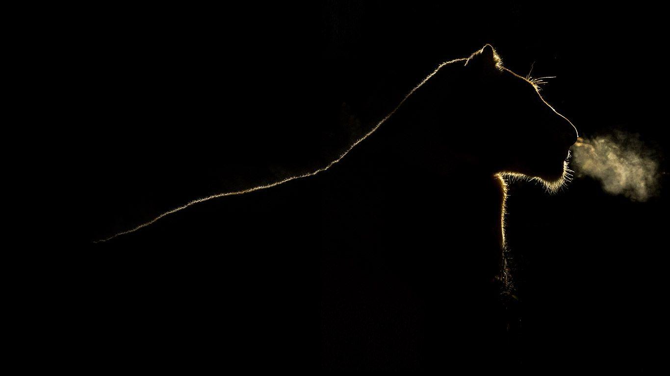 1366x768 Bing Wallpaper Archive