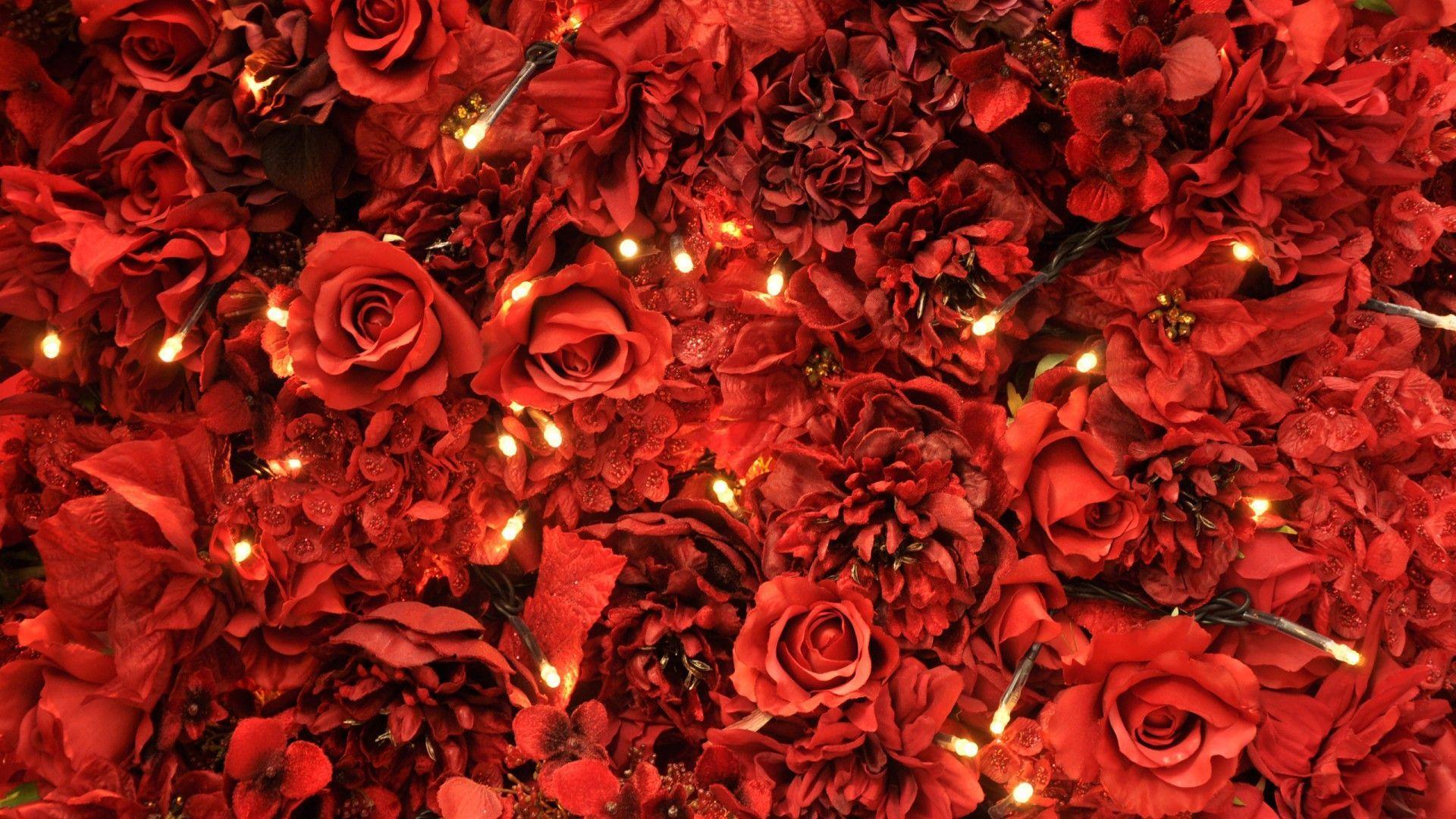 Paris Red Flowers Laptop Wallpapers - Top Free Paris Red Flowers Laptop