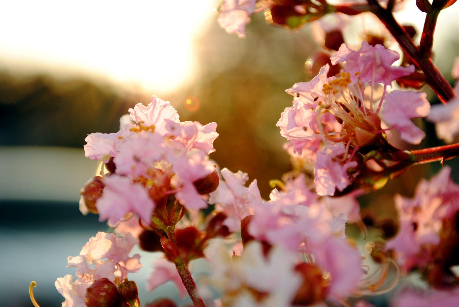 1936x1296 Pastel wallpaper and background