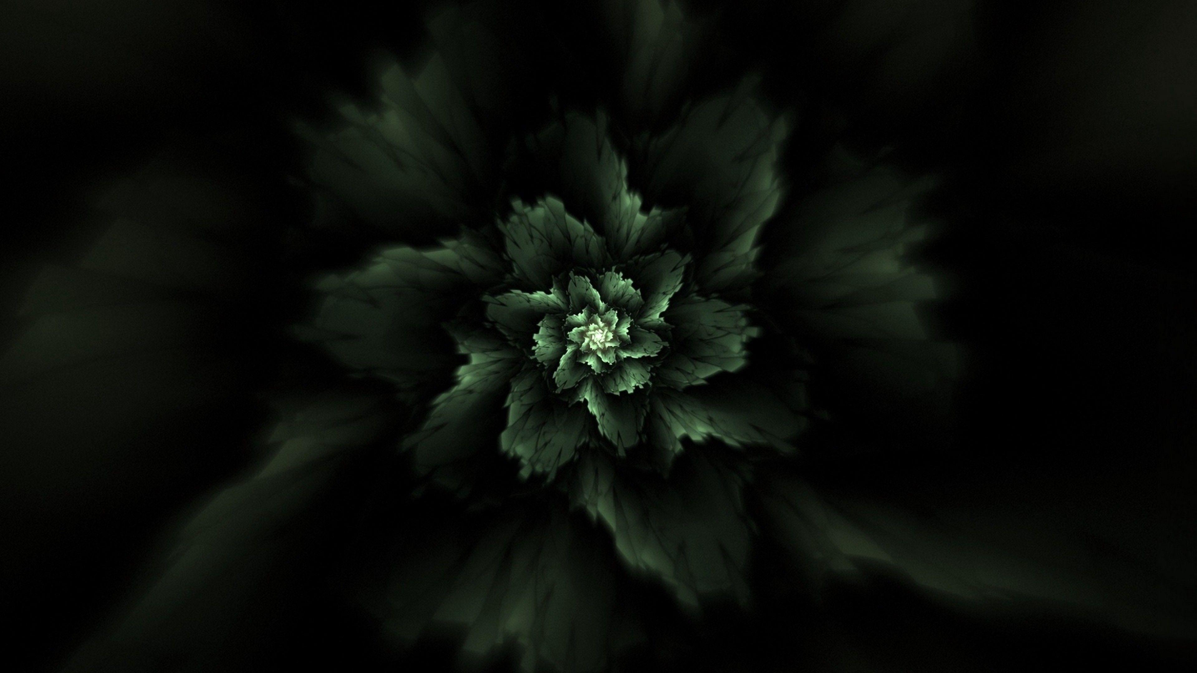 3840x2160 Green fractal pattern HD Wallpaper 4K Ultra HD Wallpaper