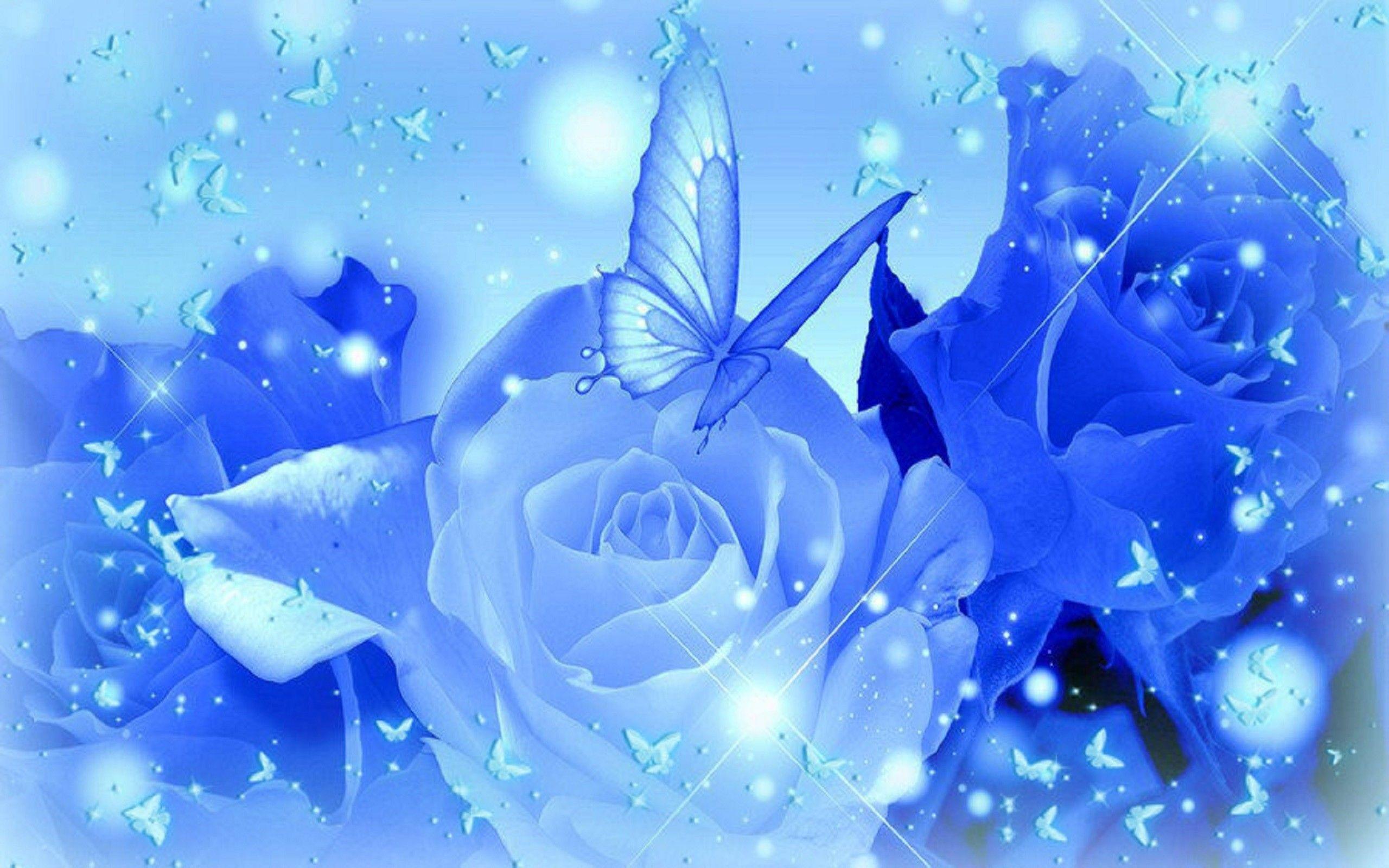 2560x1600 Blue Roses Wallpaper