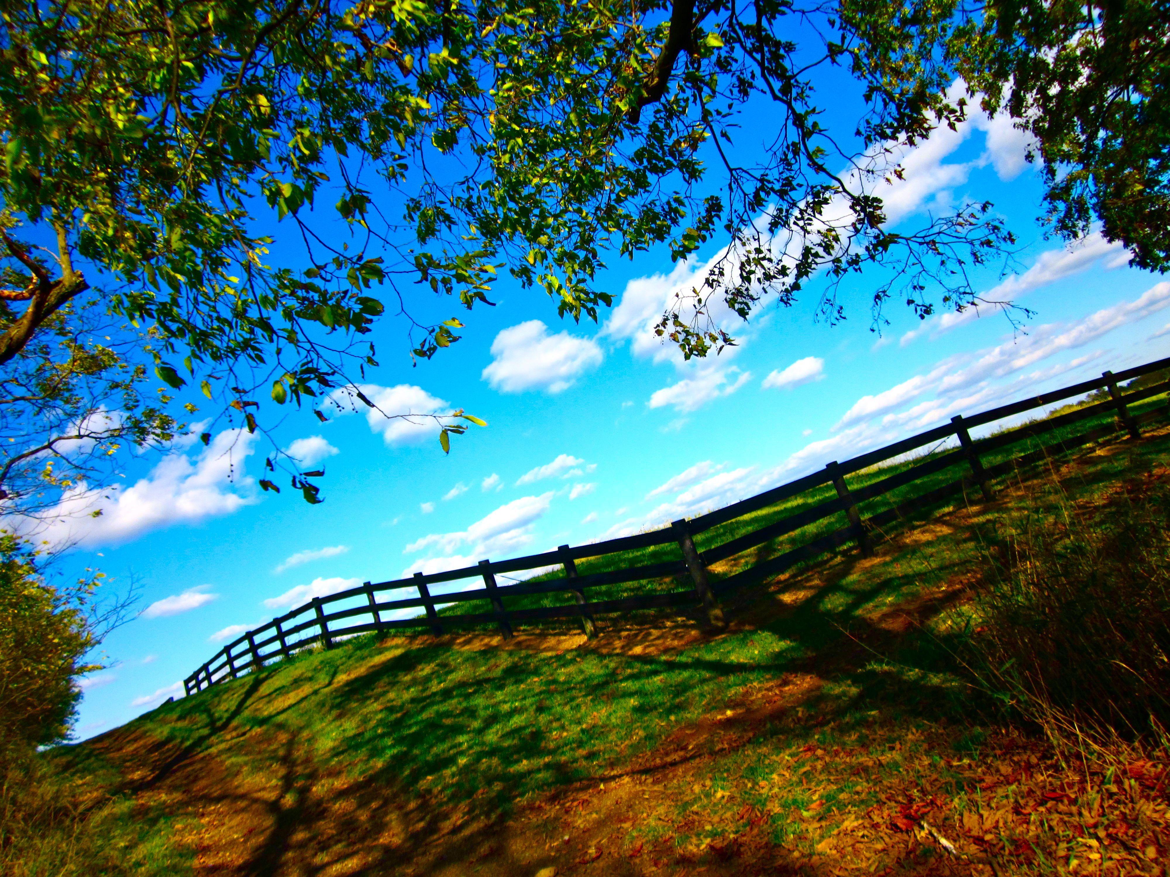 4000x3000 summer nature photography at Nature Wallpaper