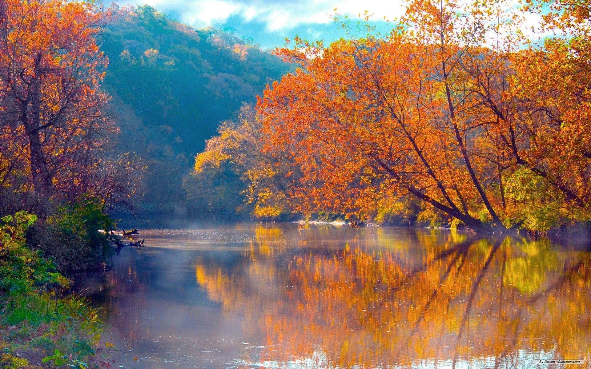 1920x1200 Free Wallpaper of nature scenery Download of nature