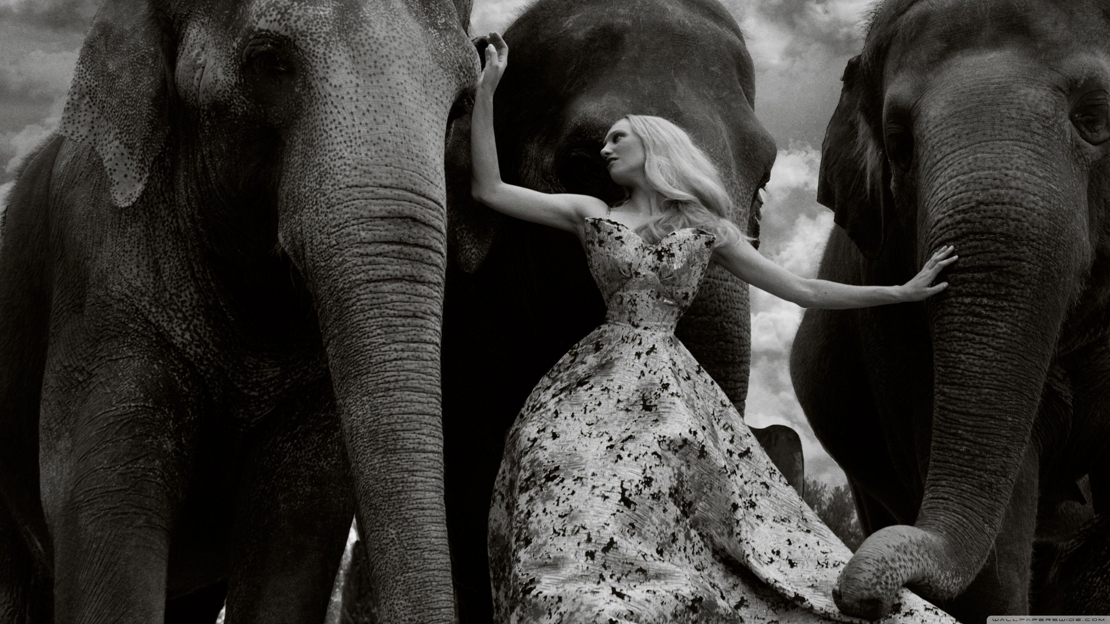 3554x1999 Female Model, Elephants Animals, Black and White Ultra HD Desktop