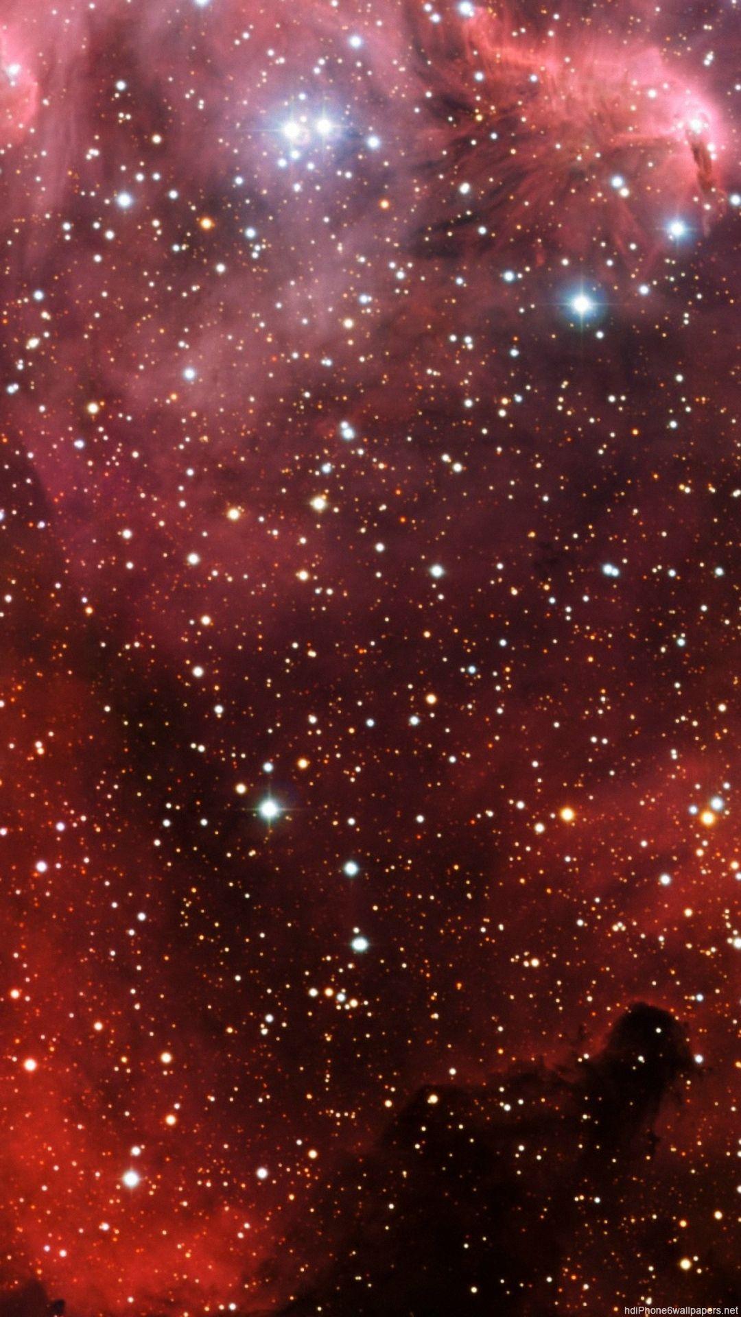 1080x1920 star light lion iPhone 6 wallpaper HD Plus