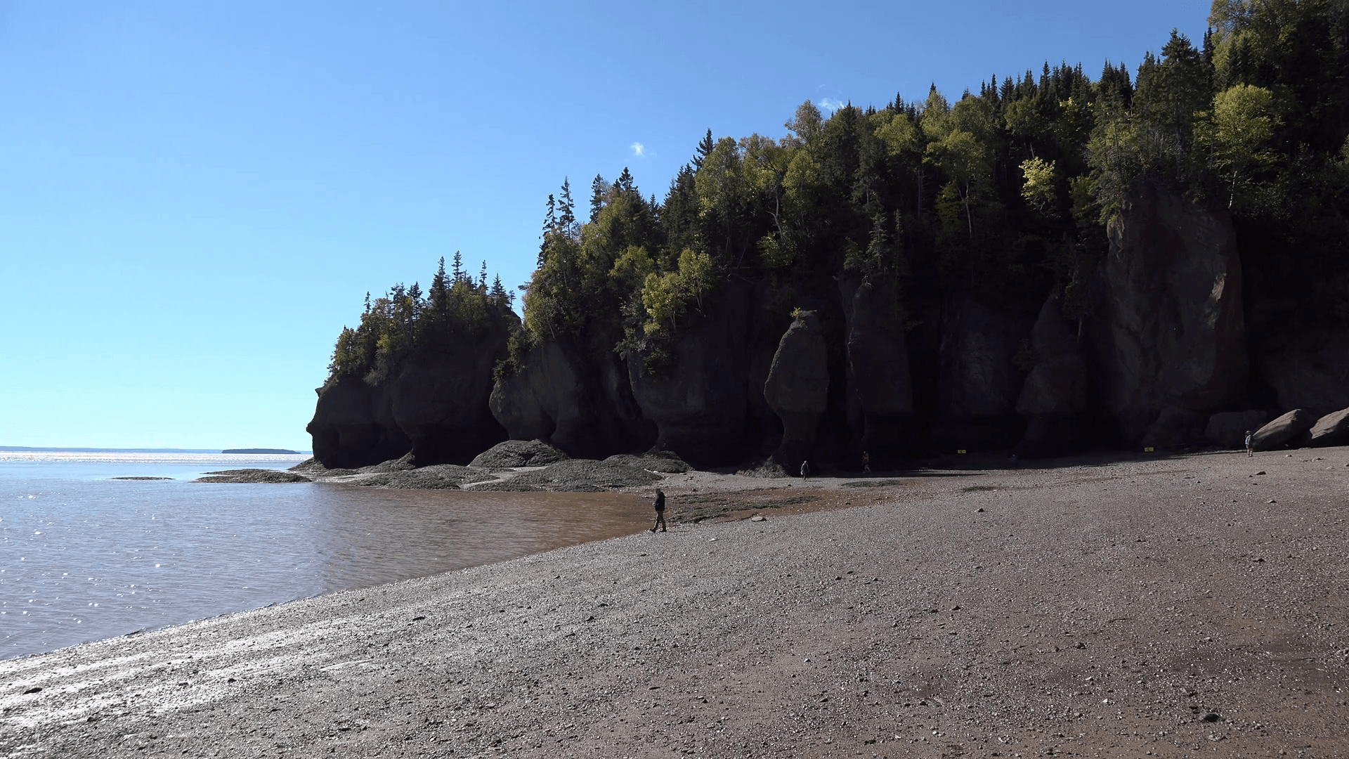1920x1080 Canada Tourist Walks By The Bay Of Fundy At Hopewell Rocks Stock