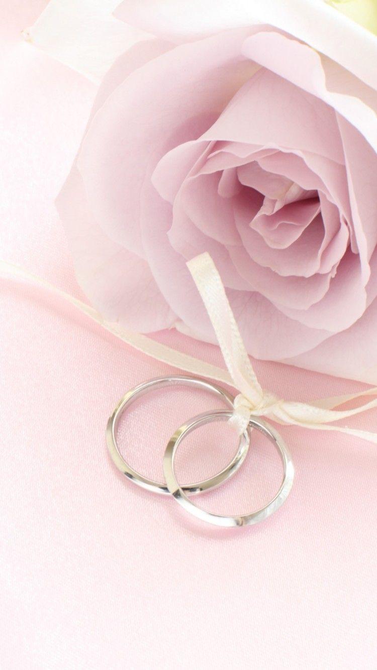 750x1334 Free download Pink Rose with Rings Wallpaper iPhone Wallpaper