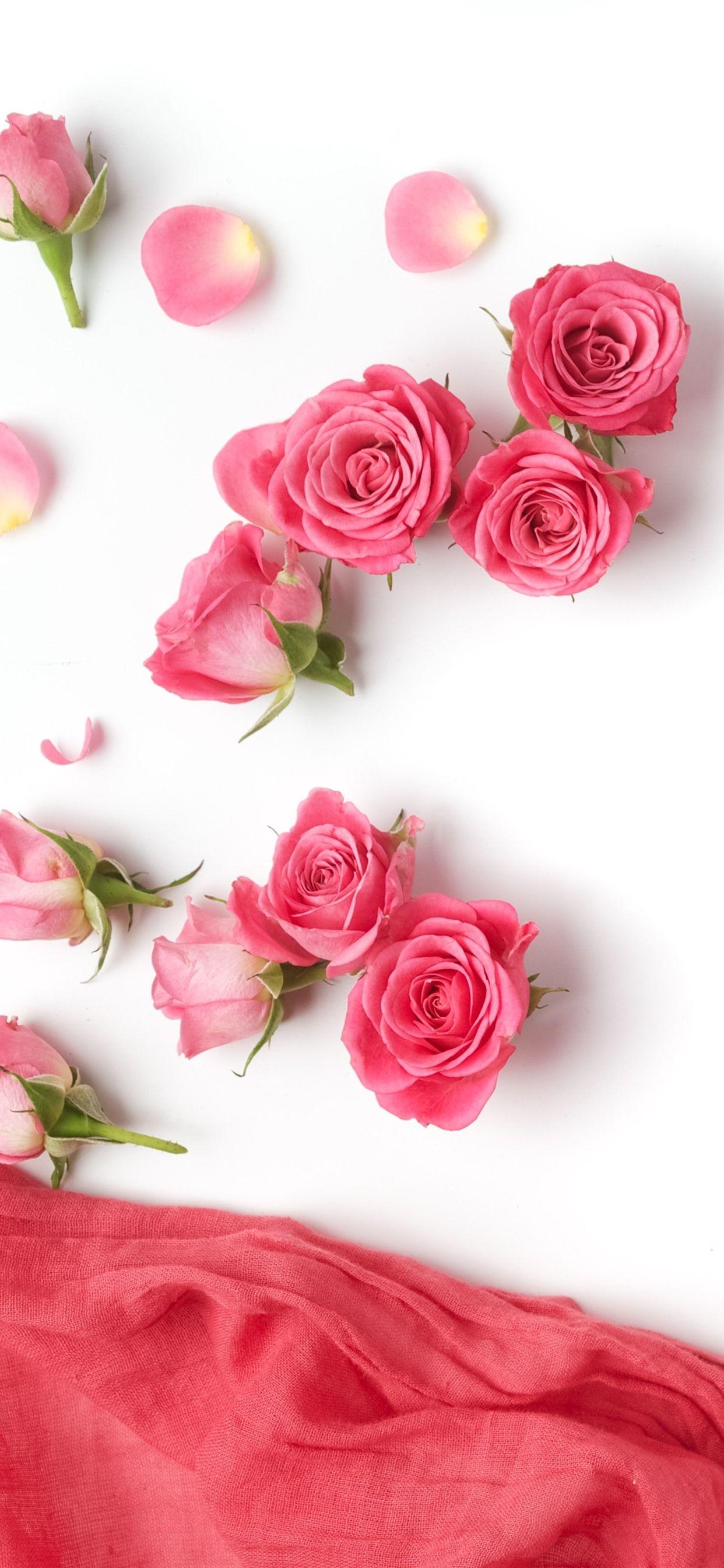 1242x2688 Pink Roses, Silk, White Background 1242x2688 IPhone 11 Pro XS Max