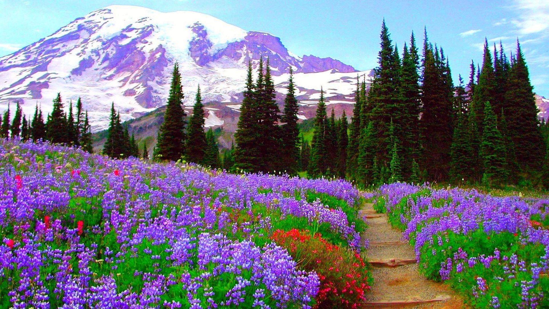 1920x1080 Springtime Mountains Wallpaper Phone. Crop picture, Mountain wallpaper, Beautiful landscapes