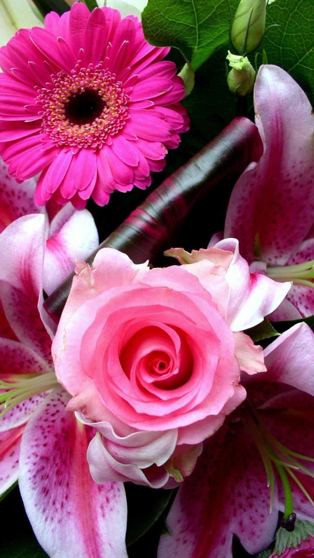 1080x1920 Pink Rose iPhone Wallpaper