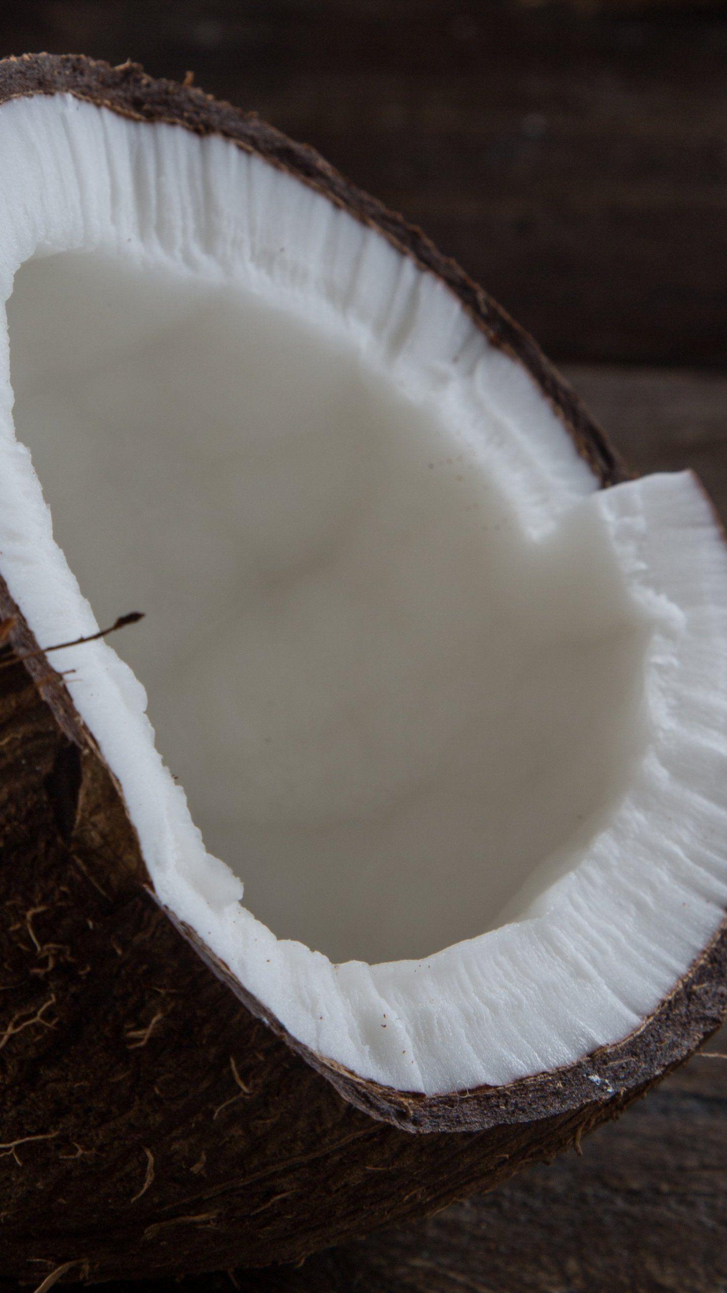 Cute Coconut Wallpapers Top Free Cute Coconut Backgrounds