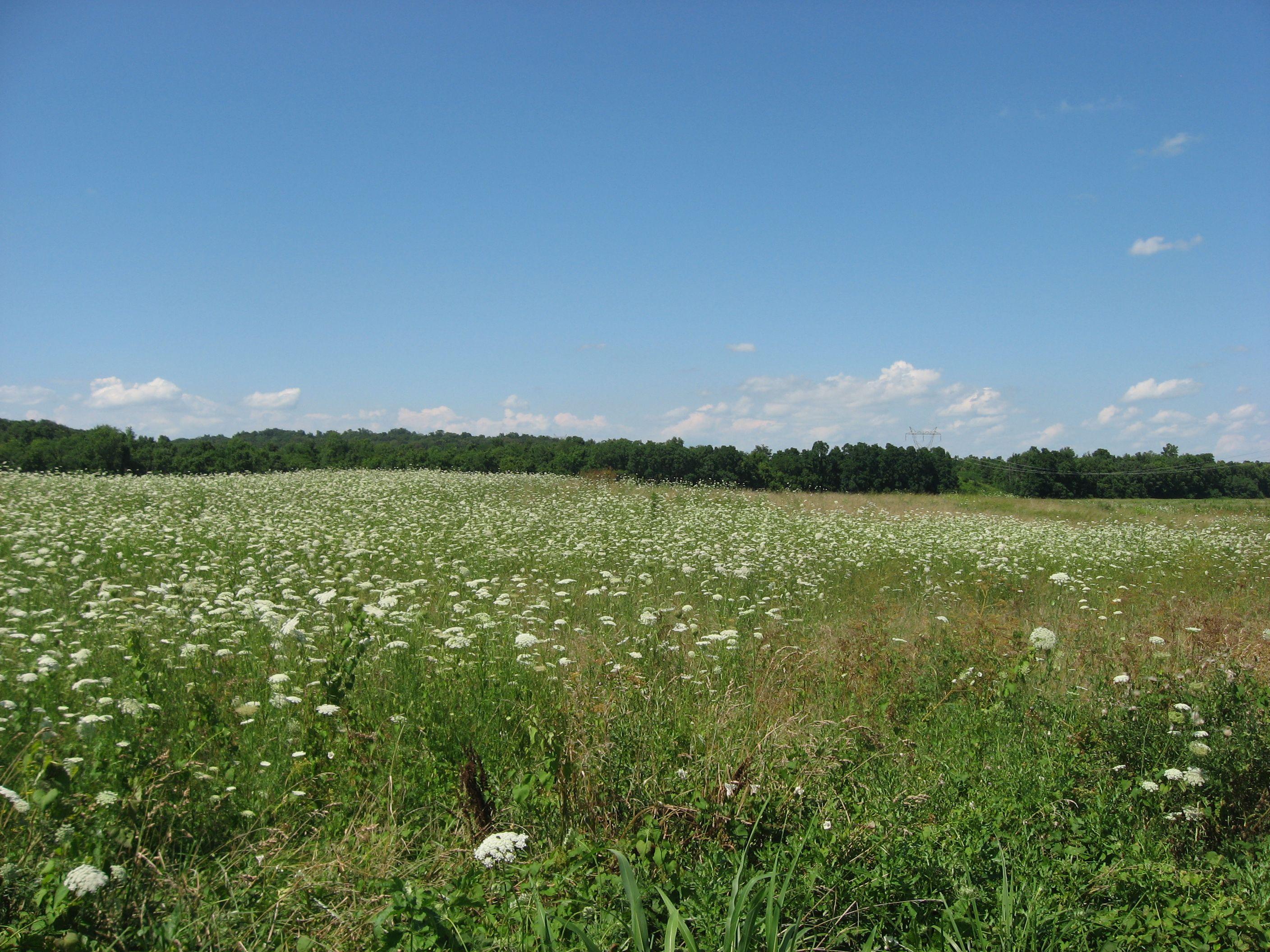2816x2112 Hopewell Mound