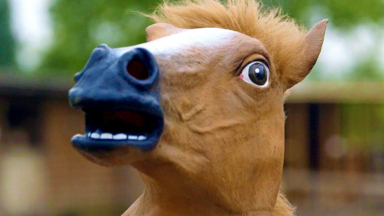 1280x720 HORSE