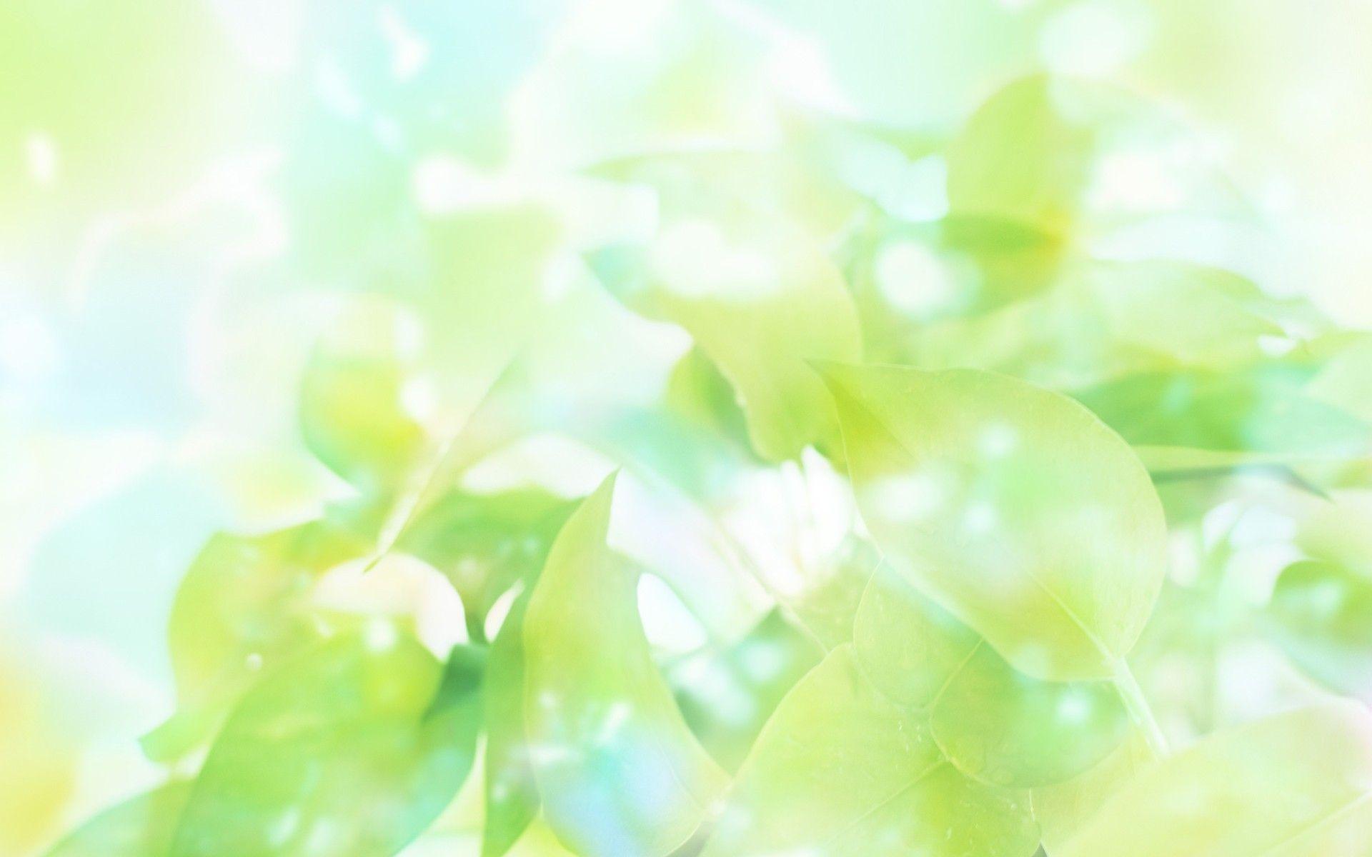 1920x1200 Gallery of 34 Bright Background, Wallpaper