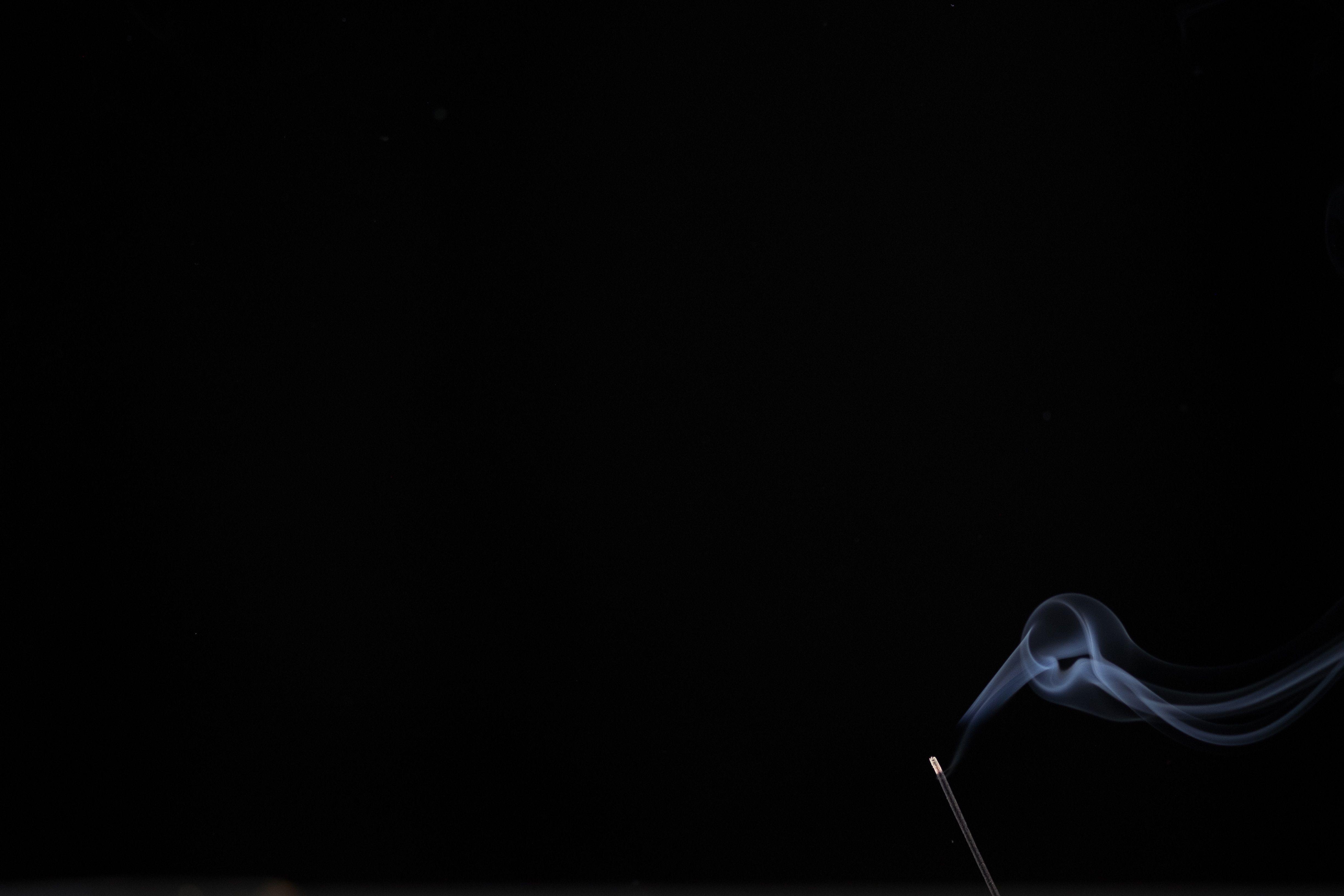 4896x3264 4896x3264 #stick, #Free picture, #black, #dark, #incense