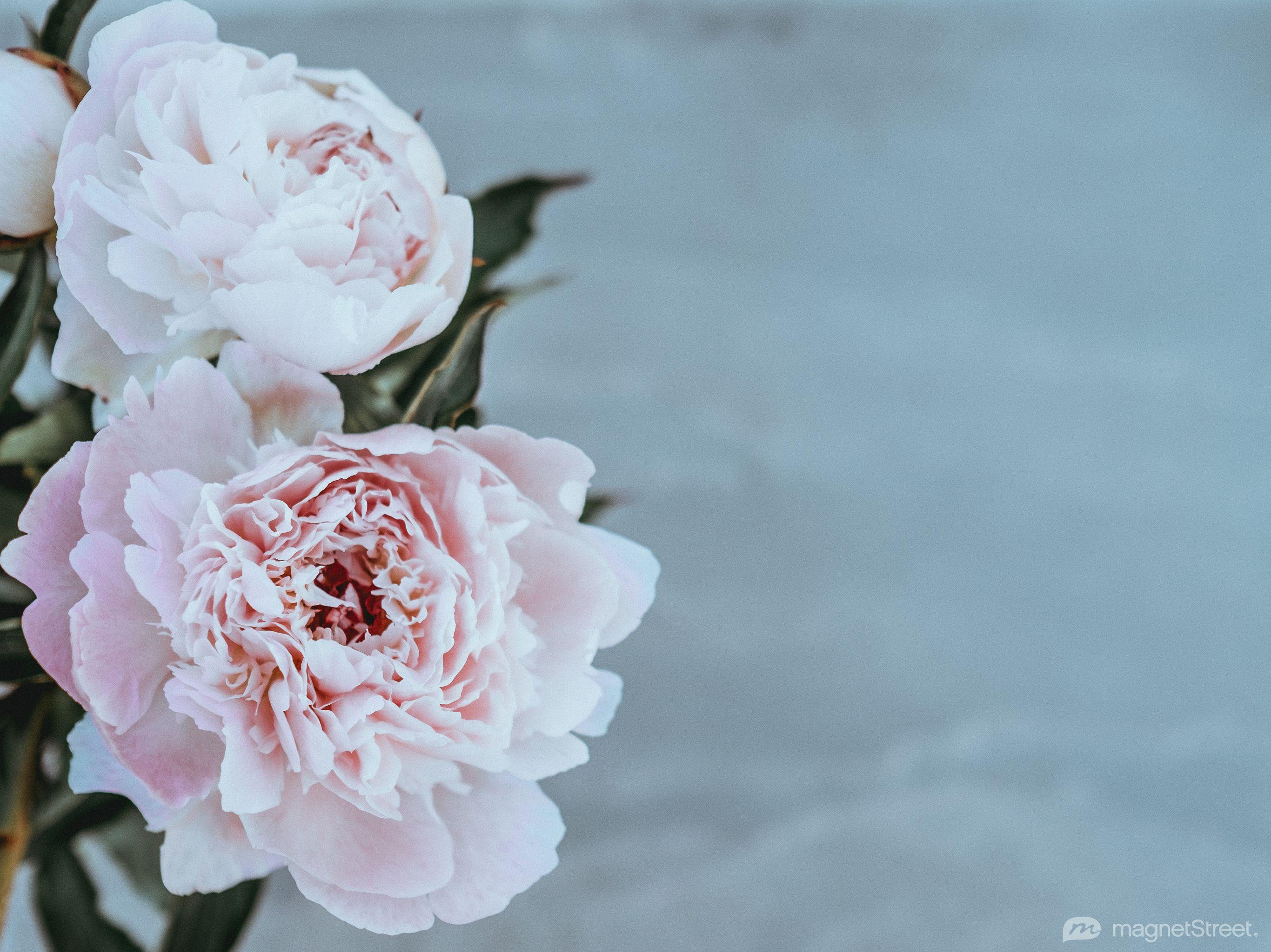 2732x2048 Wedding Wallpaper. Free Wedding Desktop Background