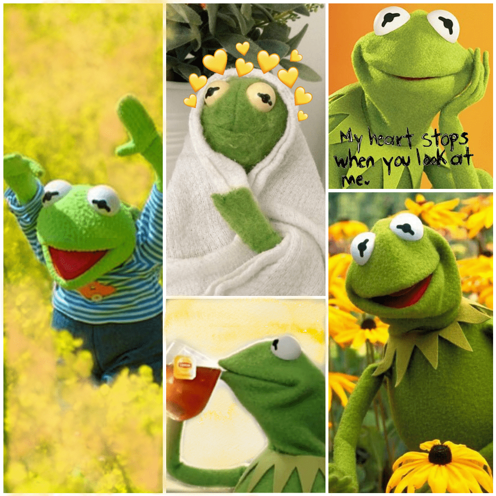 1024x1024 Kermit Banjo Wallpaper