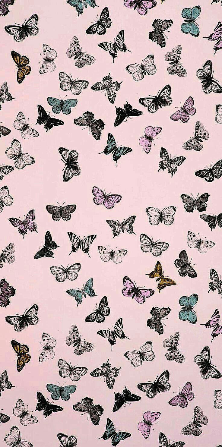 Vintage Butterfly Wallpapers - Top Free Vintage Butterfly Backgrounds -  WallpaperAccess