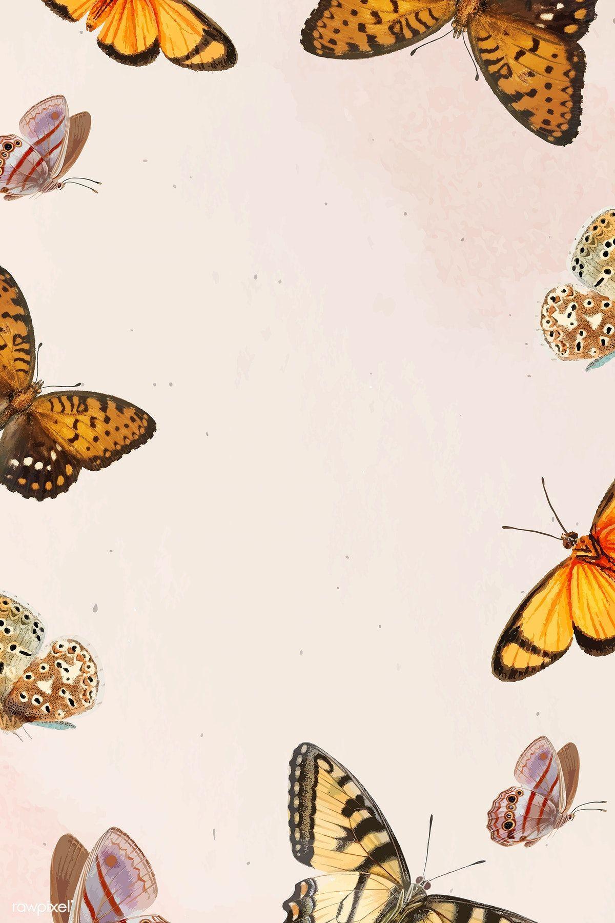 Vintage Butterfly Wallpapers - Top Free Vintage Butterfly Backgrounds