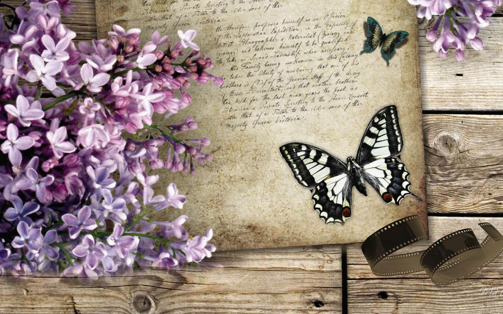1680x1050 Free download Vintage Butterfly Wallpaper Widescreen HD Wallpaper