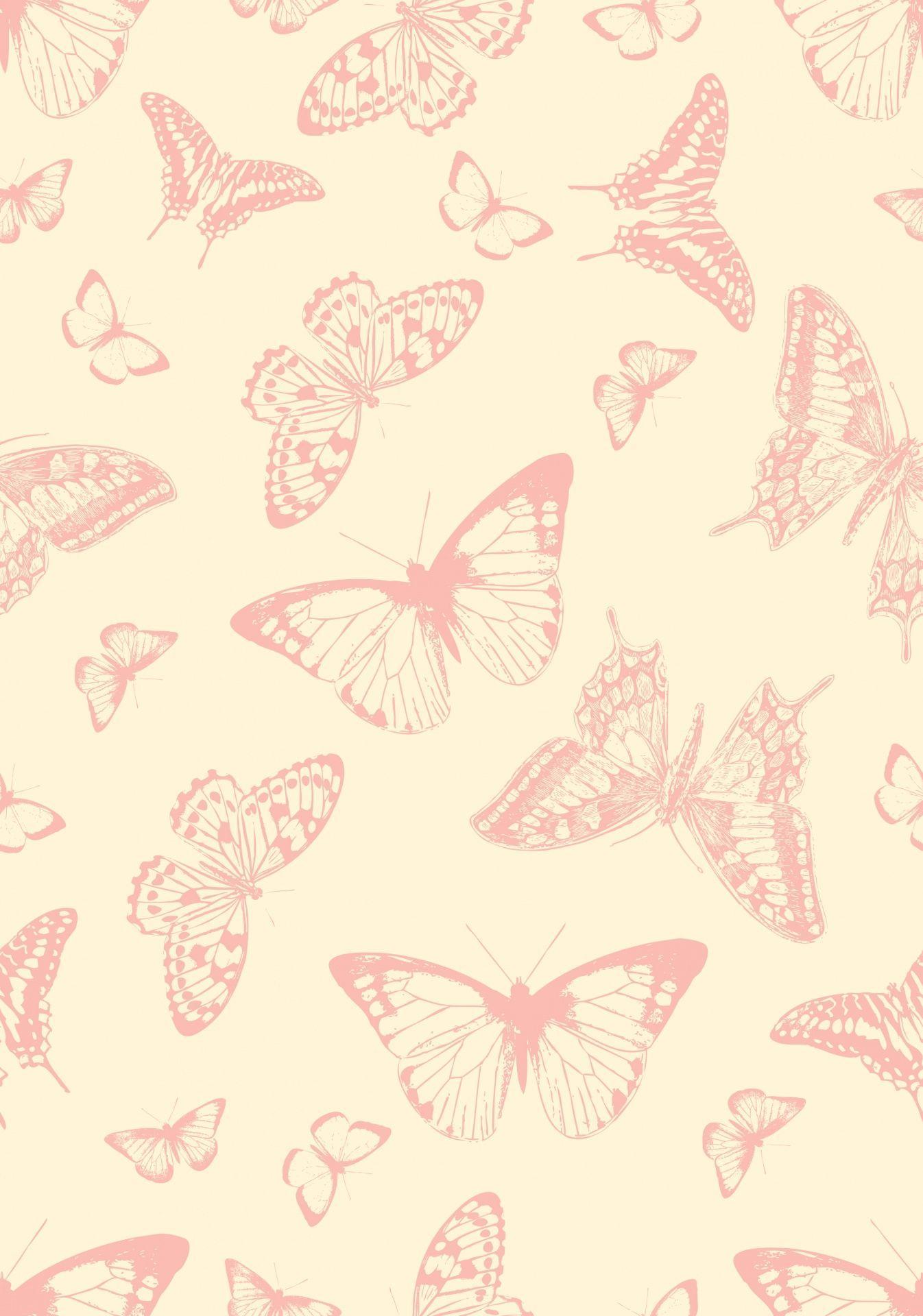 Vintage Butterfly Wallpapers Top Free Vintage Butterfly Backgrounds