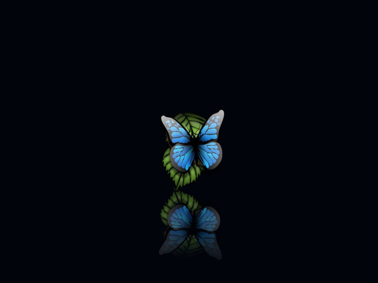 Butterfly Black Wallpapers - Top Free Butterfly Black Backgrounds -  WallpaperAccess