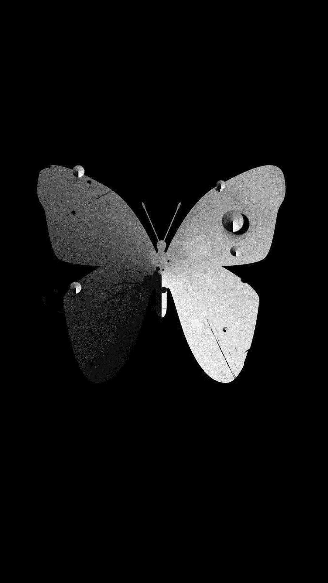 Butterfly Black Wallpapers Top Free Butterfly Black Backgrounds