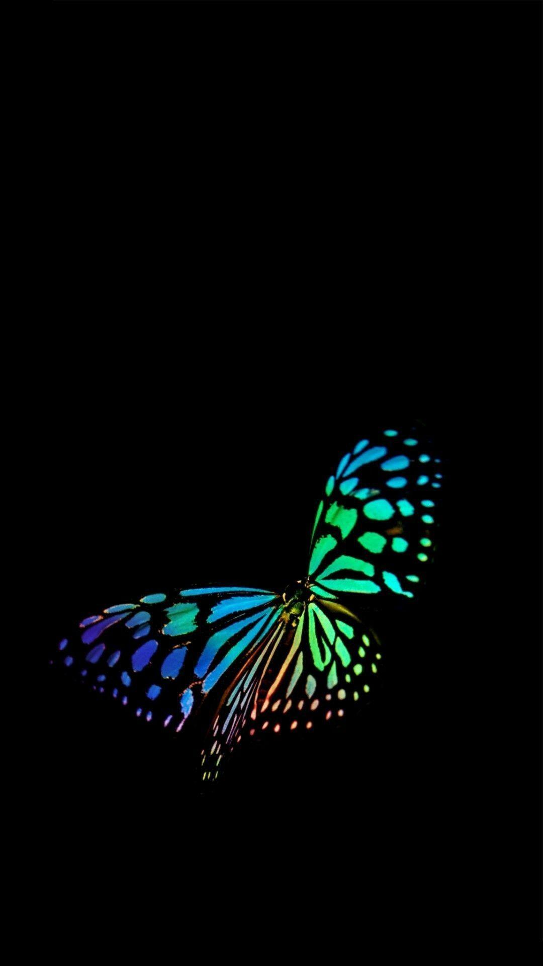 Butterfly Black Wallpapers - Top Free Butterfly Black Backgrounds ...