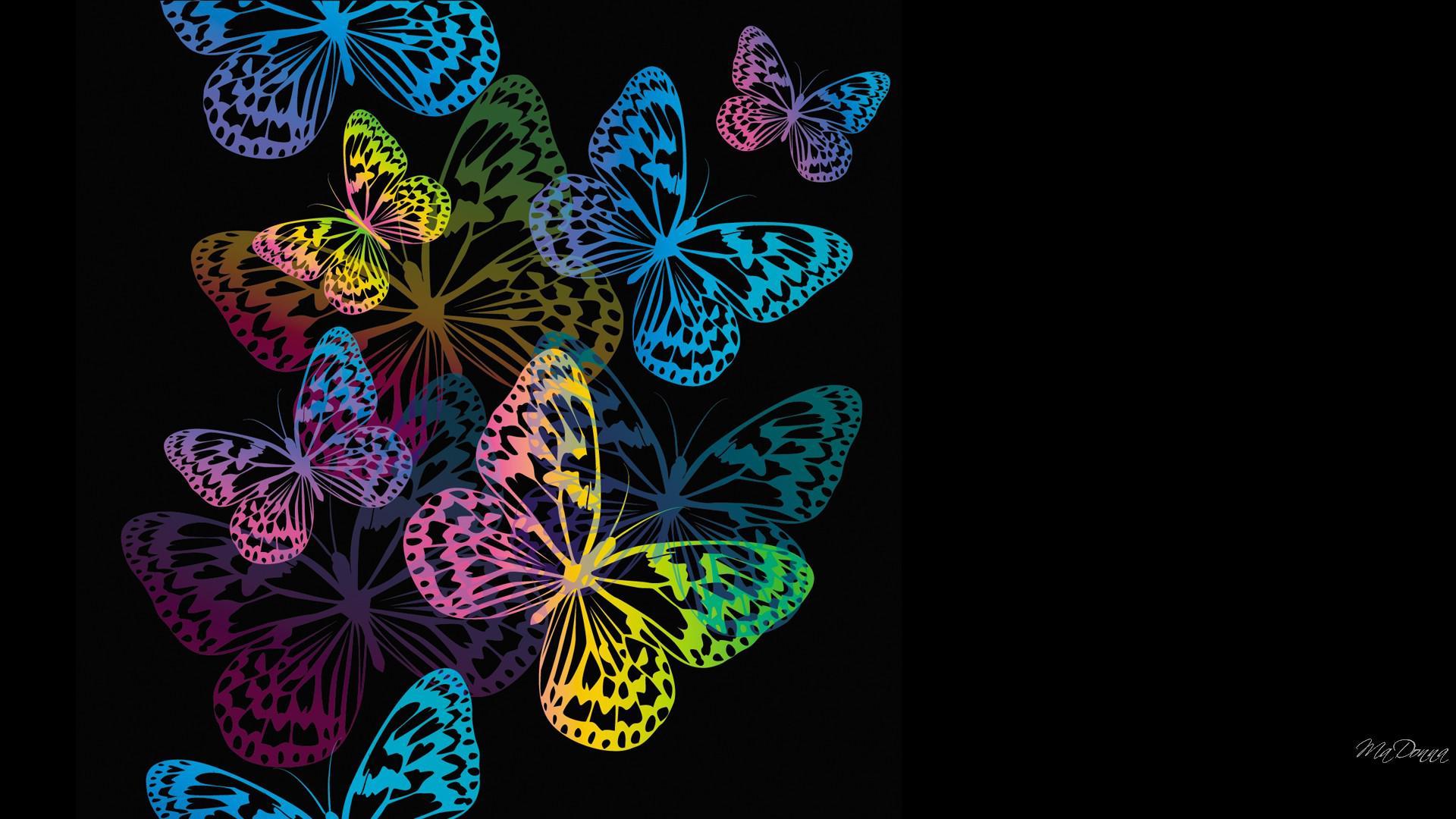 Butterfly Black Wallpapers Top Free Butterfly Black Backgrounds WallpaperAccess