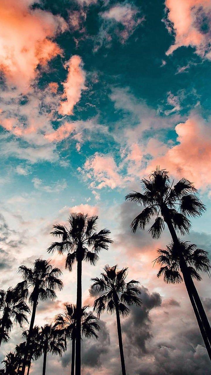 Hipster Lifestyle Wallpapers - Top Free Hipster Lifestyle Backgrounds