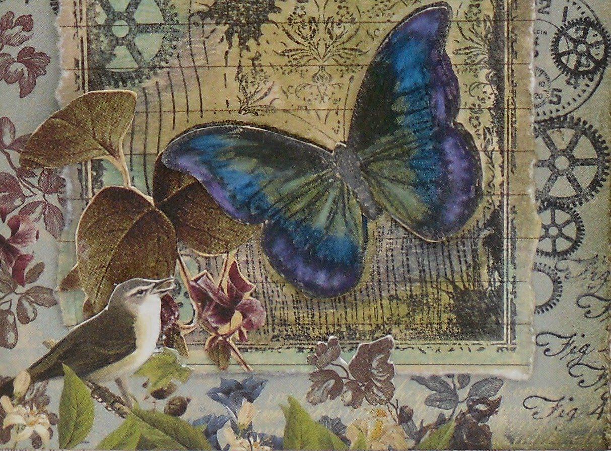 1213x896 Free download Vintage Butterfly Wallpaper Widescreen HD Wallpaper
