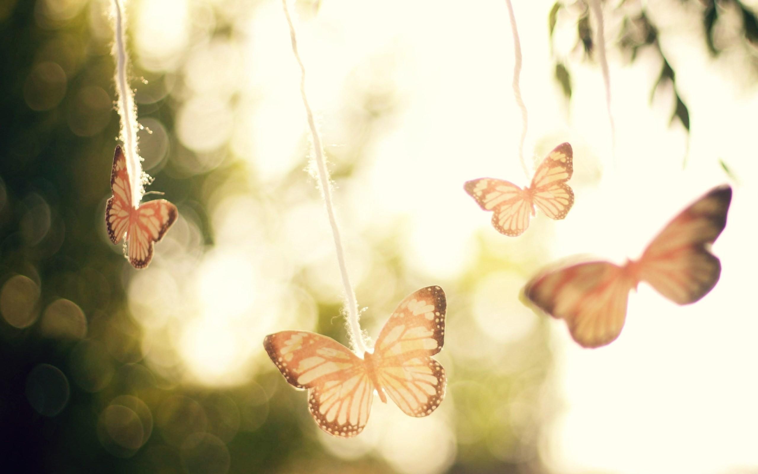 Vintage Butterfly Wallpapers - Top Free Vintage Butterfly Backgrounds