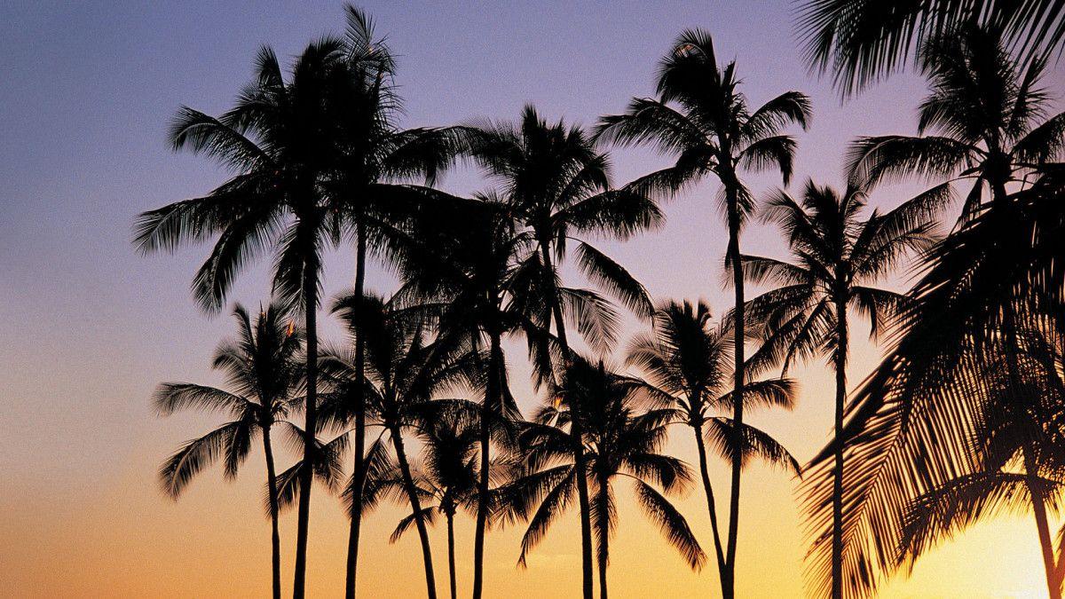 1200x675 Free download laptop beautiful summer wallpaper for laptop free