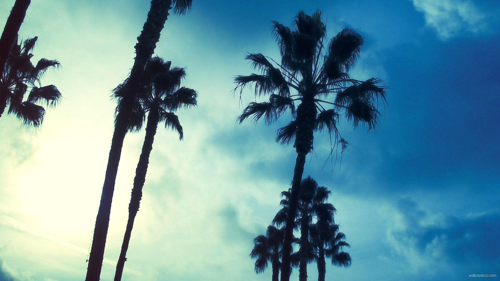 1920x1080 Summer wallpaperx1200