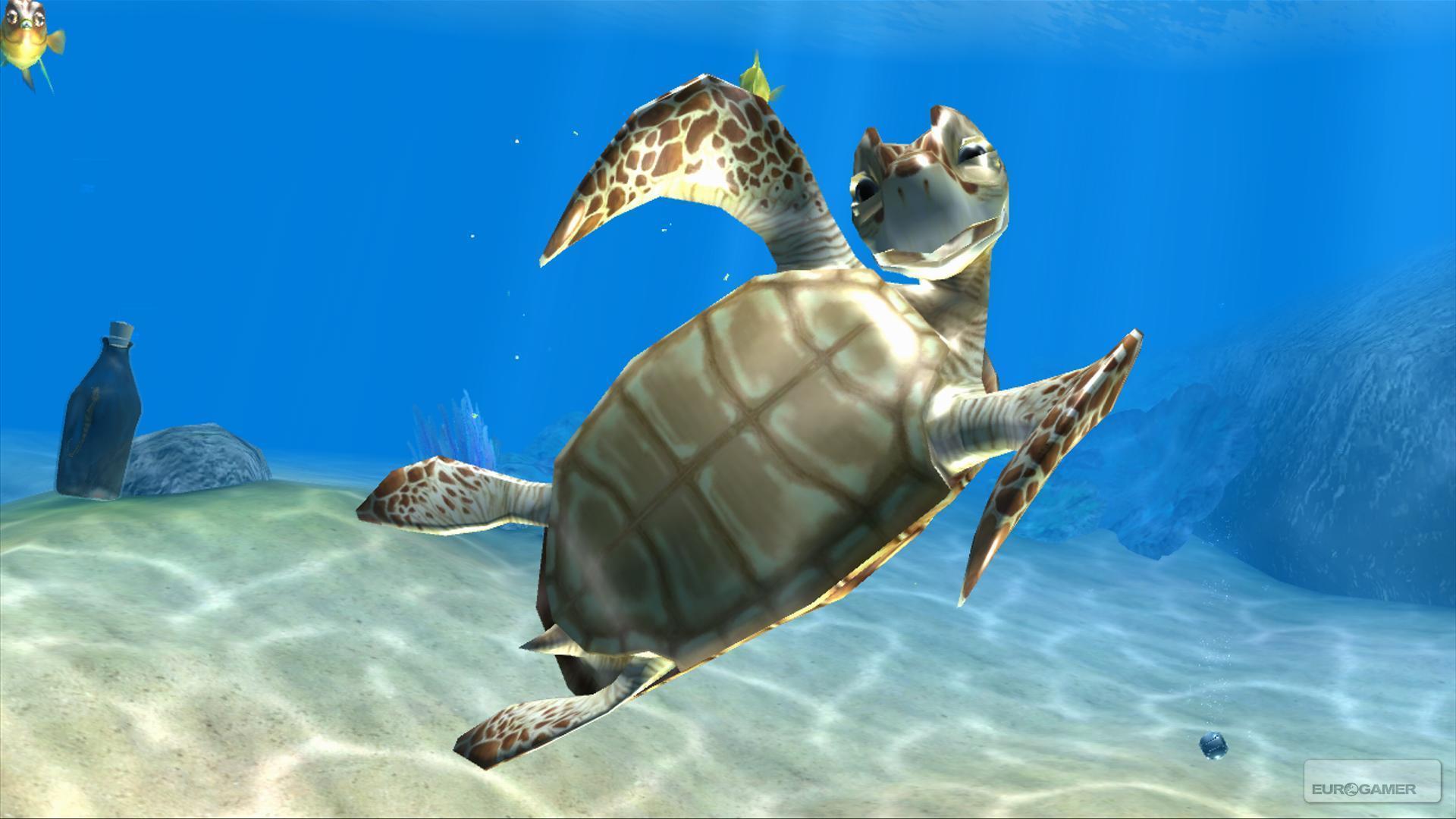 1920x1080 Free download Sea Life Safari desktop wallpaper 21 of 32 Video