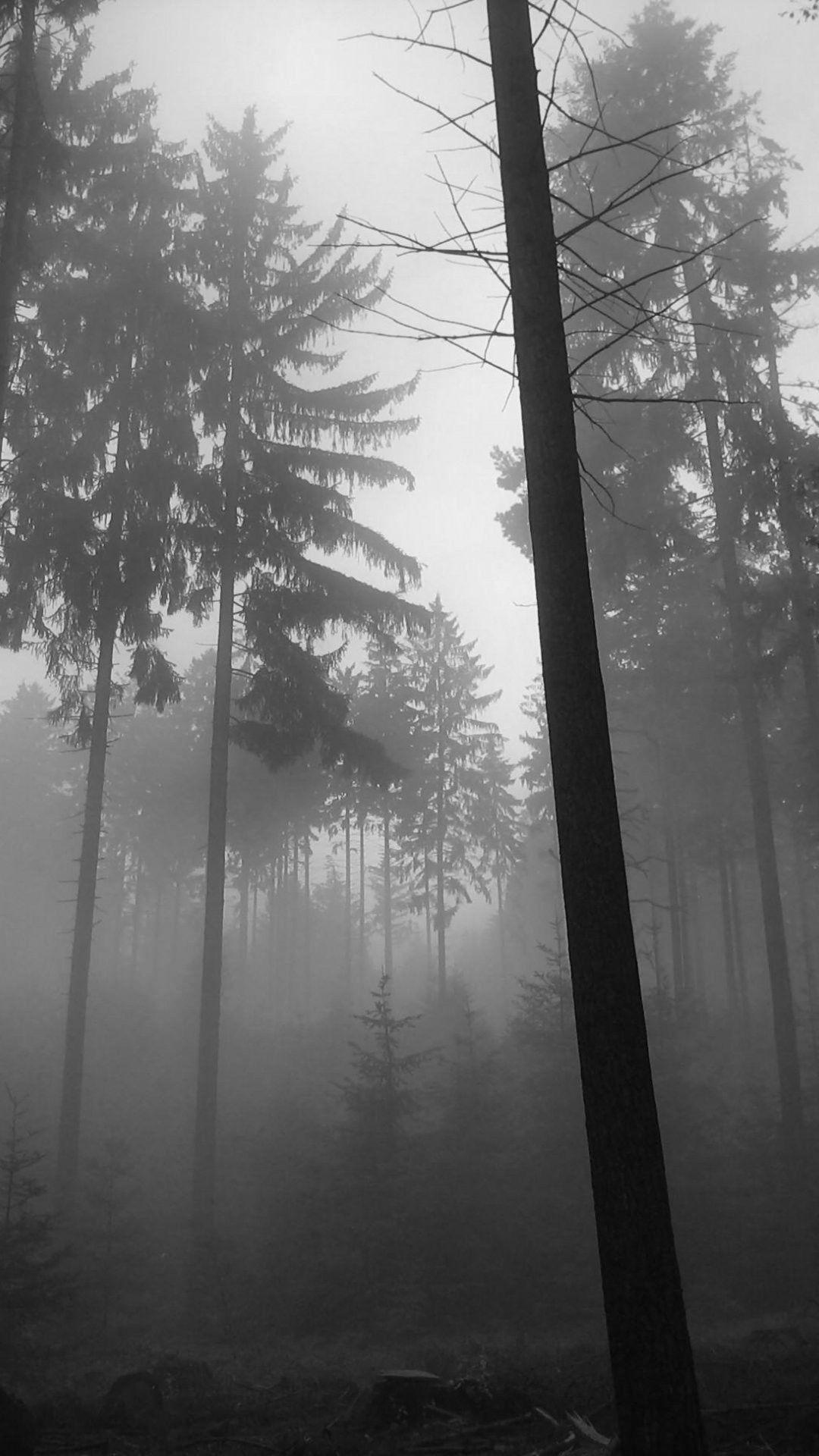 1080x1920 These cute forest iphone 6 plus wallpaper are good ideas