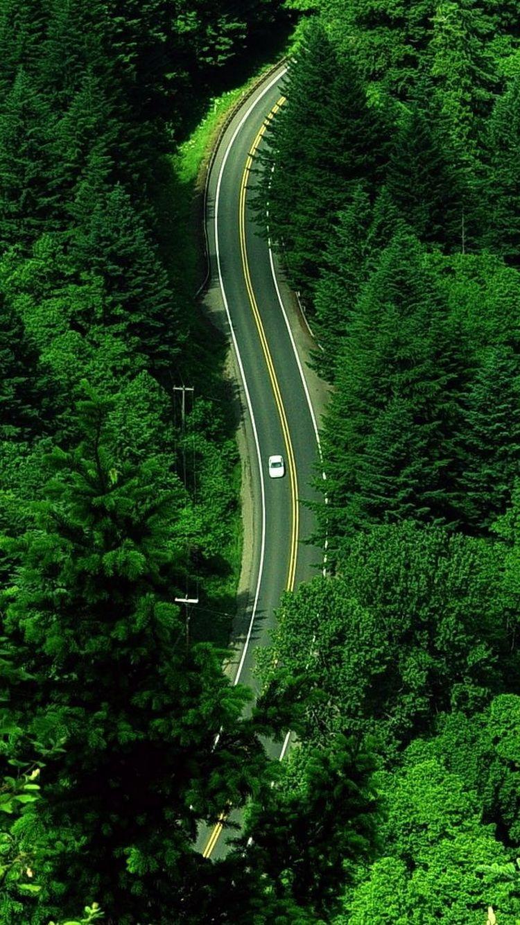 750x1334 iPhone BGs Forest Car Road IPhone 6 Wallpaper