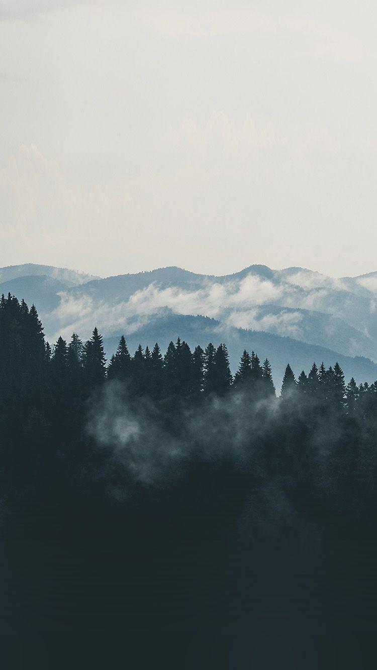 750x1334 iPhone wallpaper. mountain fog nature view wood forest
